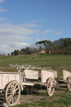 Vecchi carri all'ingresso del Podere San Ferdinando